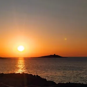 https://goccia-del-isola-delle-femmine.sicilyhotelsitaly.net